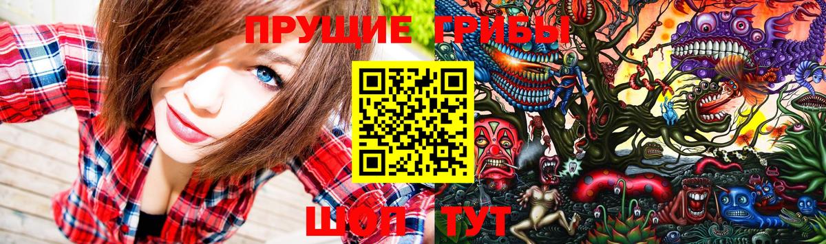 Галлюциногенные грибы Magic Shrooms  Вход с VPN  дарнет шоп  Богородицк 